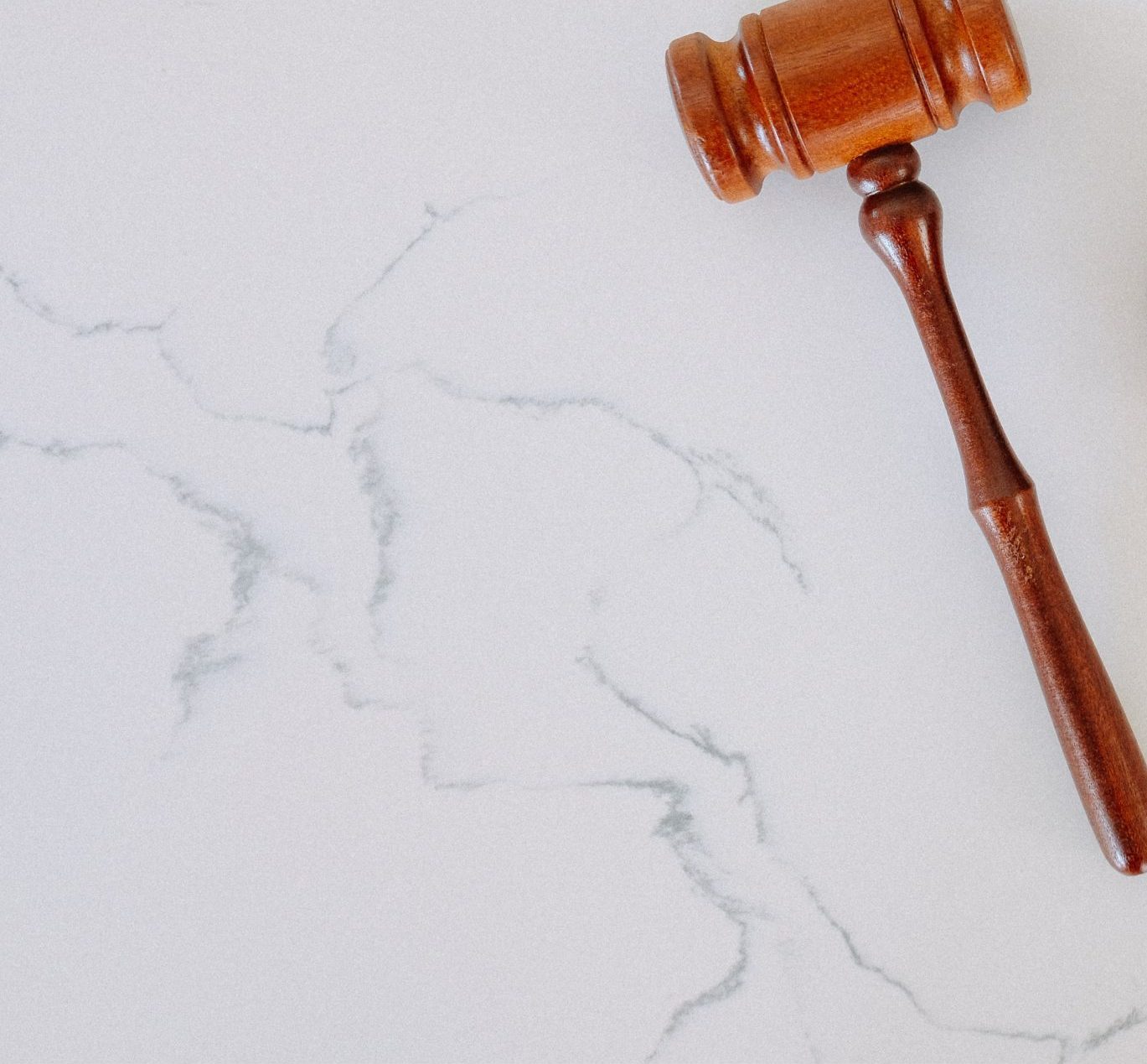 ALMC By Laws and Statements - Asian Lifestyle Medicine Council